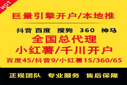 成功运用SEM服务实现品牌推广的案例分析
